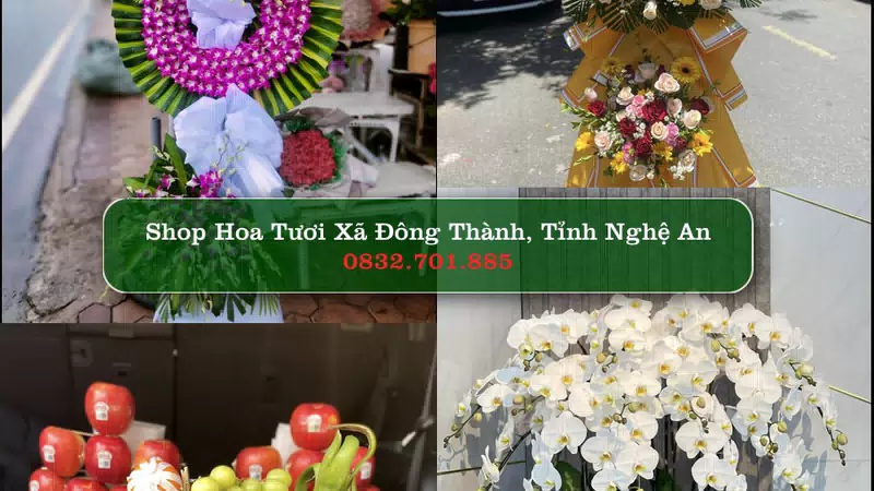 Shop Hoa Tươi Xã Đông Thành - Tỉnh Nghệ An