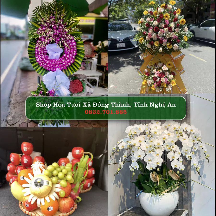 Shop Hoa Tươi Xã Đông Thành - Tỉnh Nghệ An