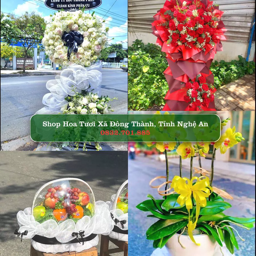 Shop hoa tươi Xã Đông Thành, Tỉnh Nghệ An - ThuyHoaTuoi.Com giao hoa tận nơi