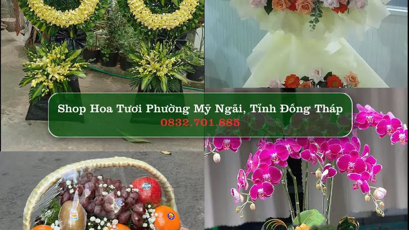 Shop Hoa Tươi Phường Mỹ Ngãi - Tỉnh Đồng Tháp