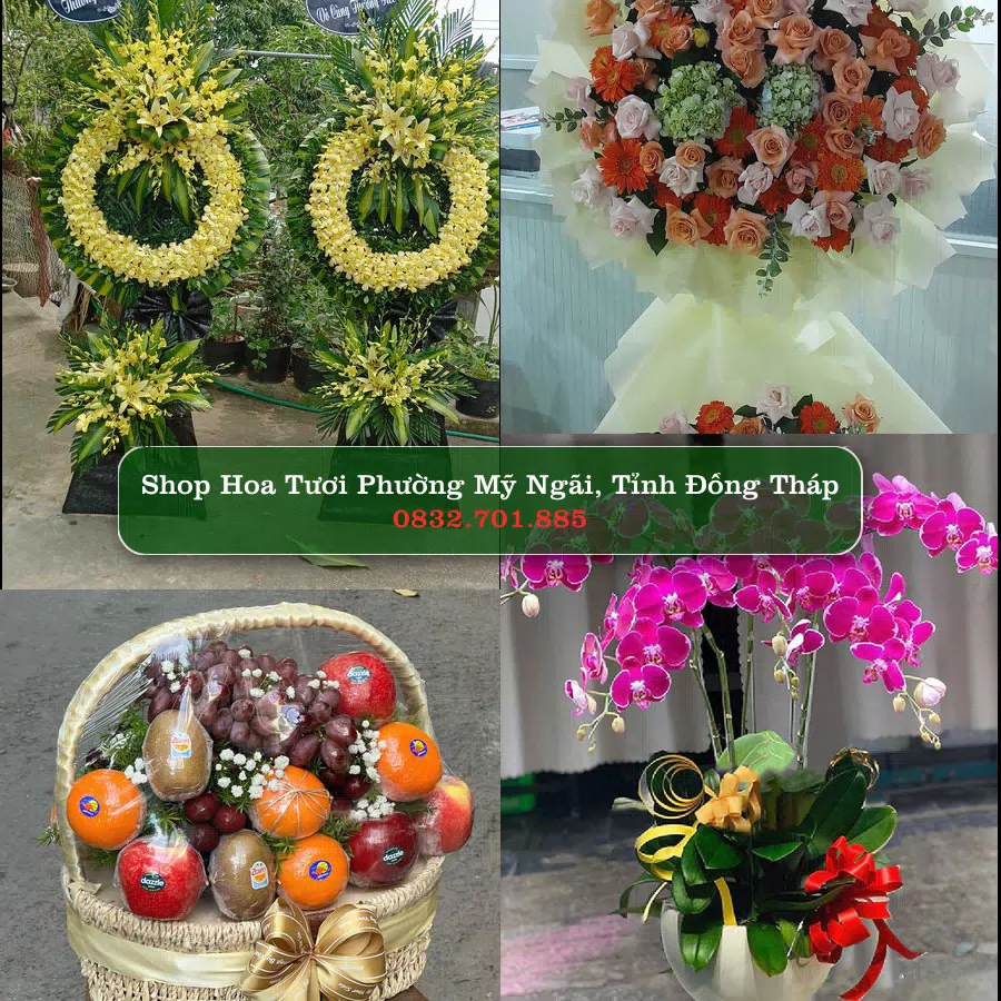 Shop Hoa Tươi Phường Mỹ Ngãi - Tỉnh Đồng Tháp