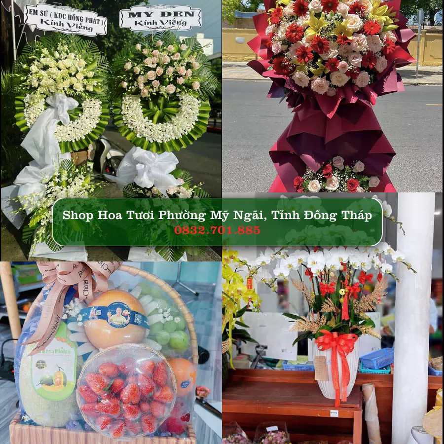 Shop hoa tươi Phường Mỹ Ngãi, Tỉnh Đồng Tháp - ThuyHoaTuoi.Com giao hoa tận nơi