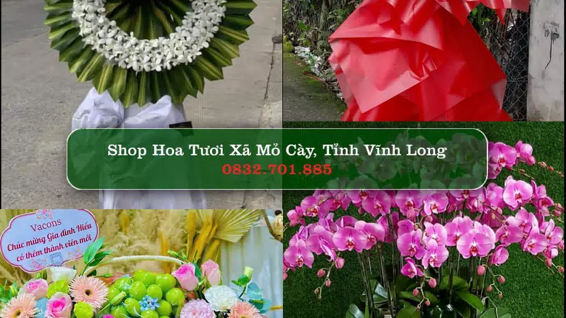 Shop Hoa Tươi Xã Mỏ Cày - Tỉnh Vĩnh Long