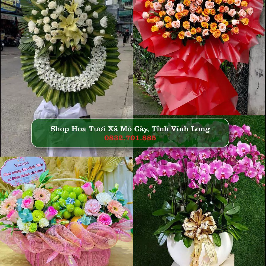 Shop Hoa Tươi Xã Mỏ Cày - Tỉnh Vĩnh Long