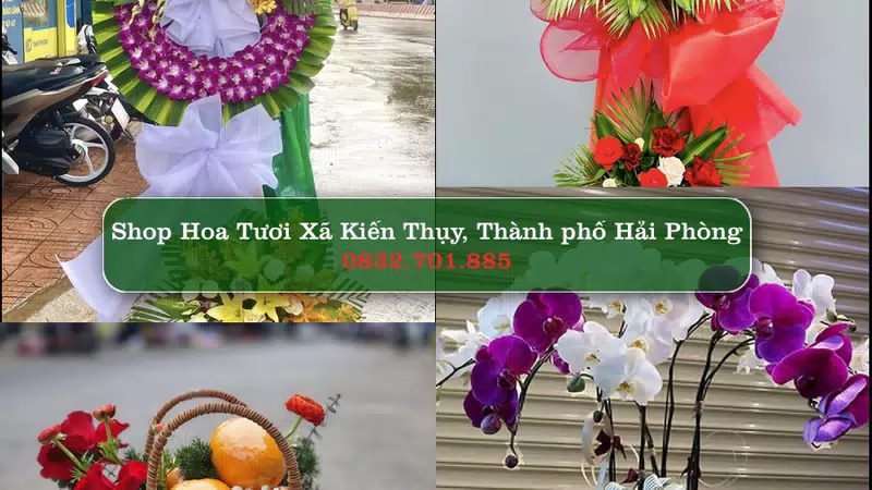 Shop Hoa Tươi Xã Kiến Thụy - Thành phố Hải Phòng