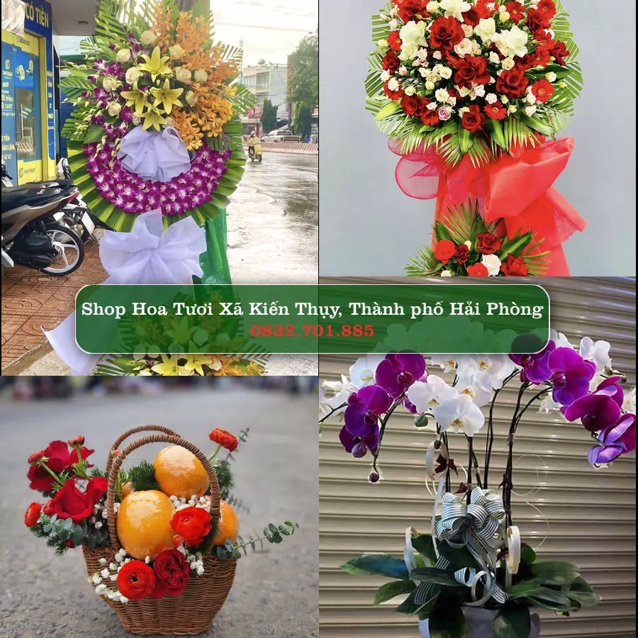 Shop Hoa Tươi Xã Kiến Thụy - Thành phố Hải Phòng