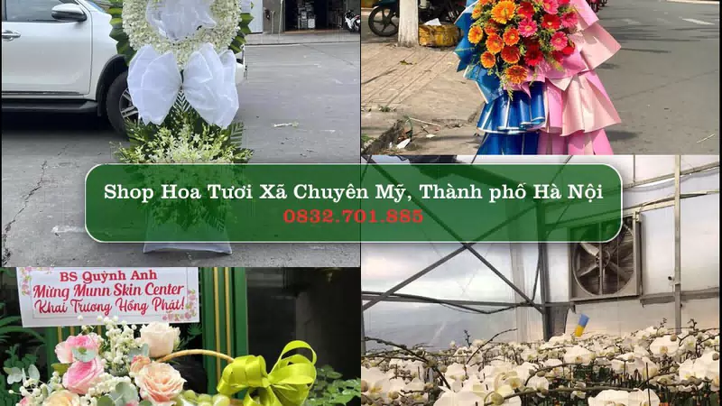 Shop Hoa Tươi Xã Chuyên Mỹ - Thành phố Hà Nội