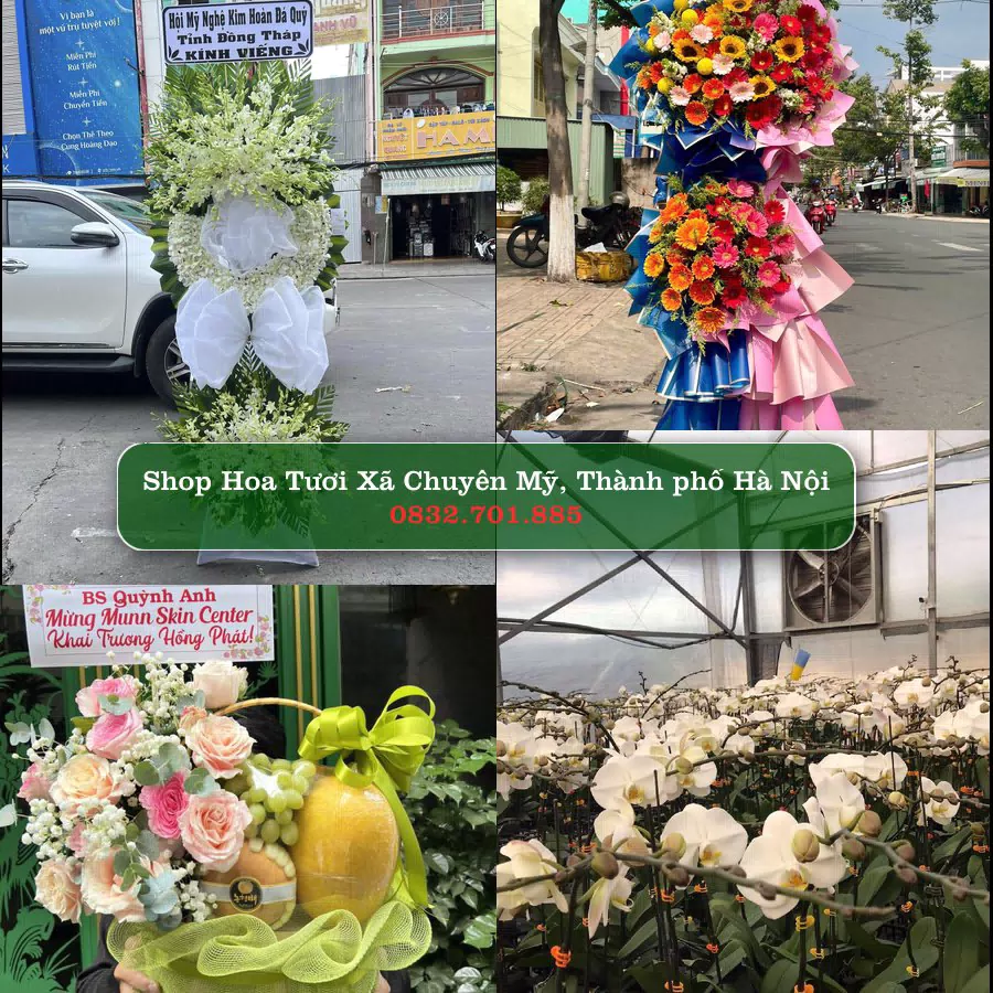 Shop Hoa Tươi Xã Chuyên Mỹ - Thành phố Hà Nội