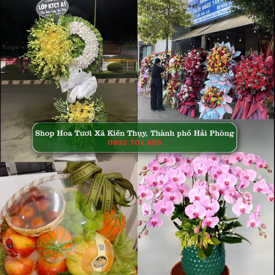 Shop hoa tươi Xã Kiến Thụy, Thành phố Hải Phòng - ThuyHoaTuoi.Com giao hoa tận nơi