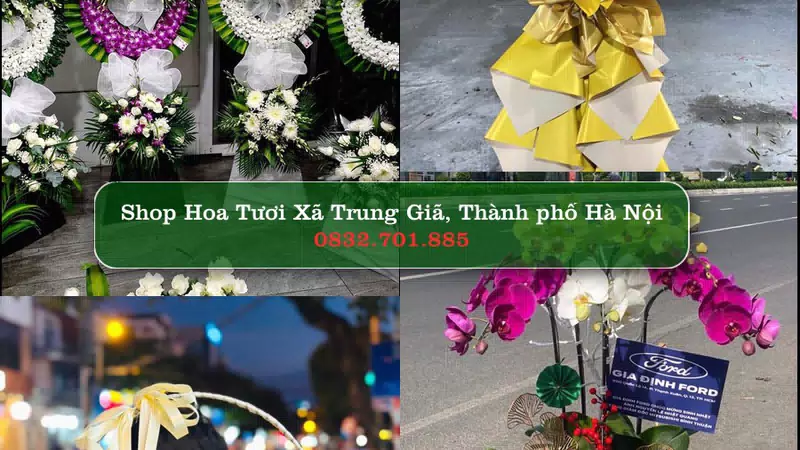 Shop Hoa Tươi Xã Trung Giã - Thành phố Hà Nội