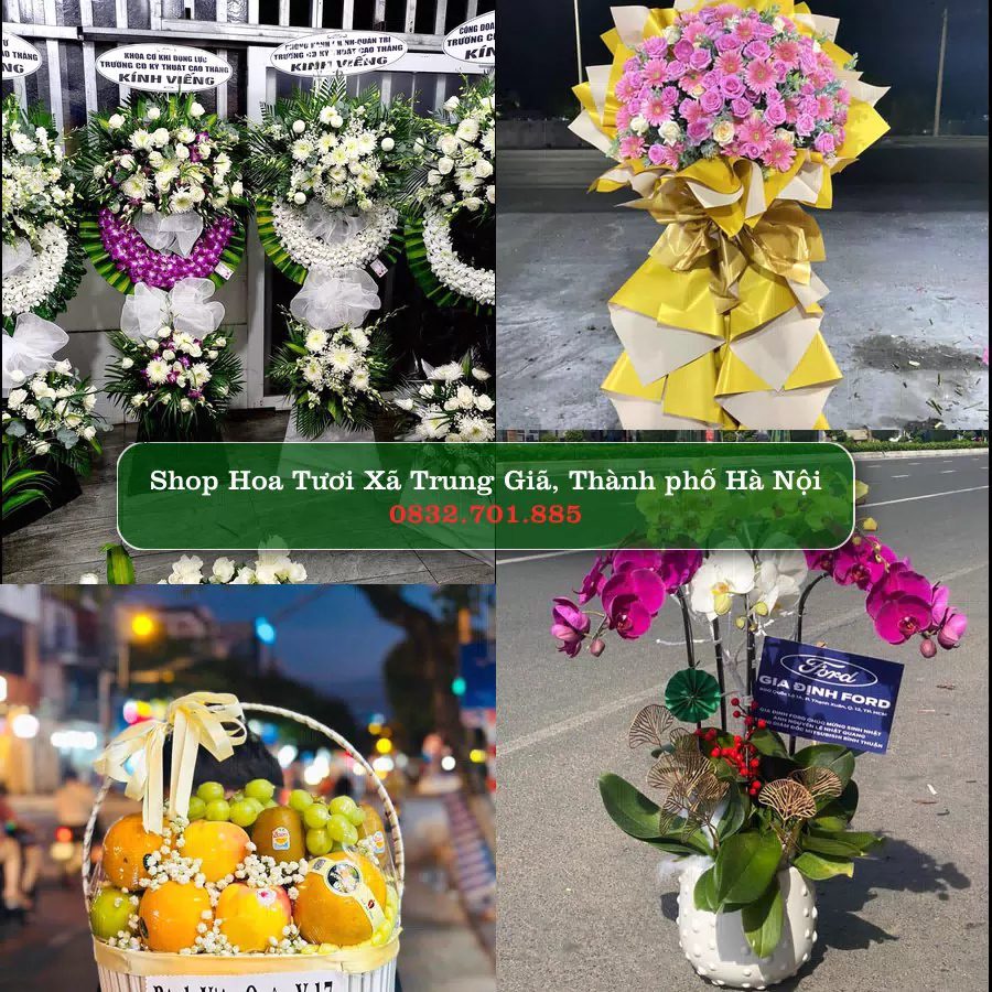 Shop Hoa Tươi Xã Trung Giã - Thành phố Hà Nội