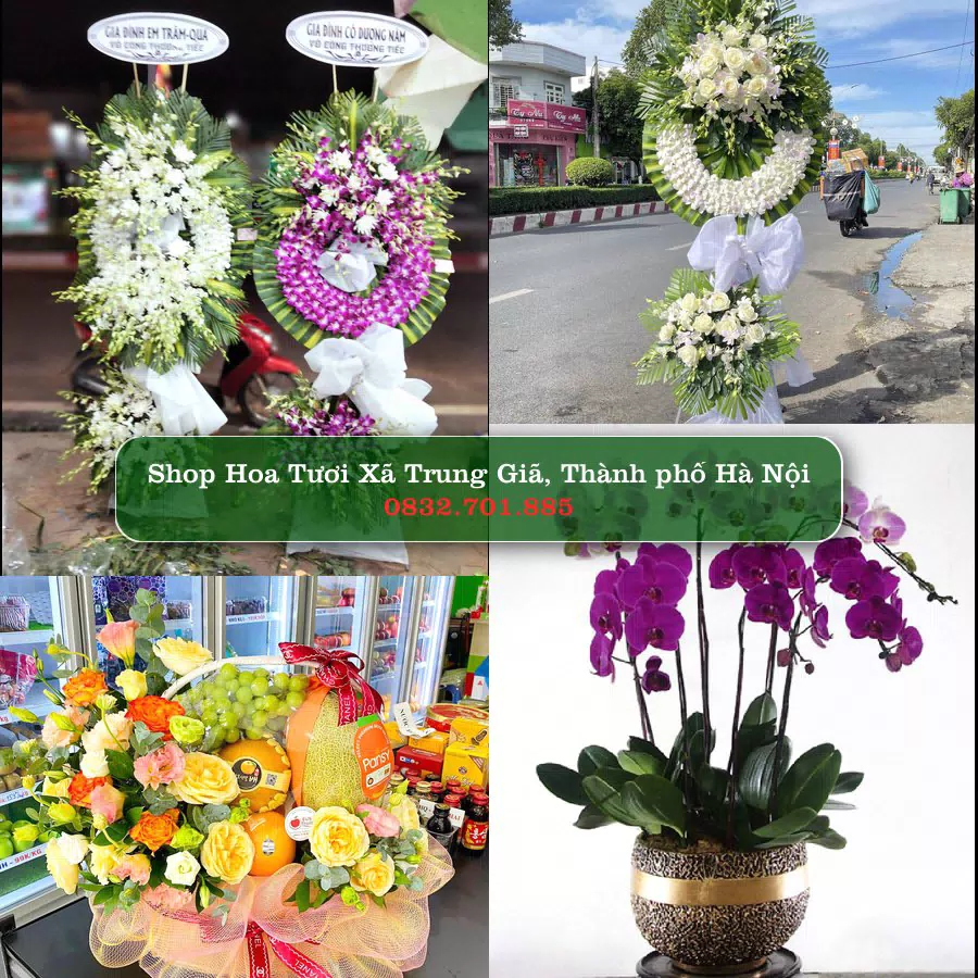 Shop hoa tươi Xã Trung Giã, Thành phố Hà Nội - ThuyHoaTuoi.Com giao hoa tận nơi