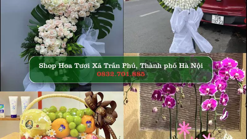 Shop Hoa Tươi Xã Trần Phú - Thành phố Hà Nội