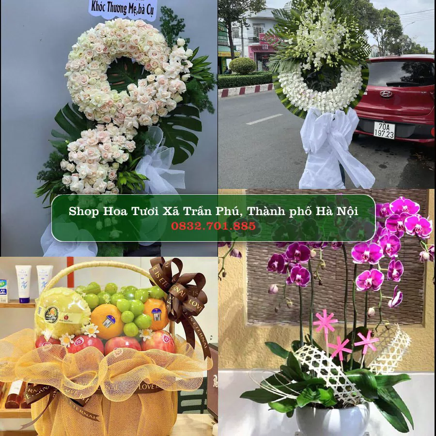 Shop Hoa Tươi Xã Trần Phú - Thành phố Hà Nội