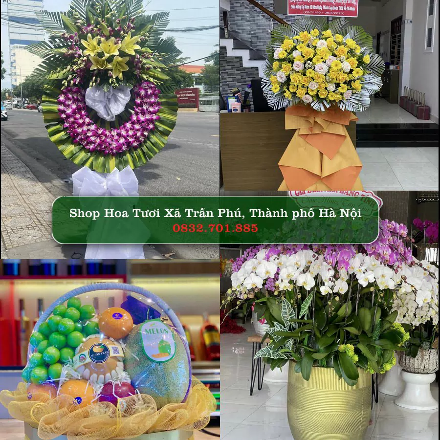 Shop hoa tươi Xã Trần Phú, Thành phố Hà Nội - ThuyHoaTuoi.Com giao hoa tận nơi