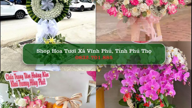 Shop Hoa Tươi Xã Vĩnh Phú - Tỉnh Phú Thọ