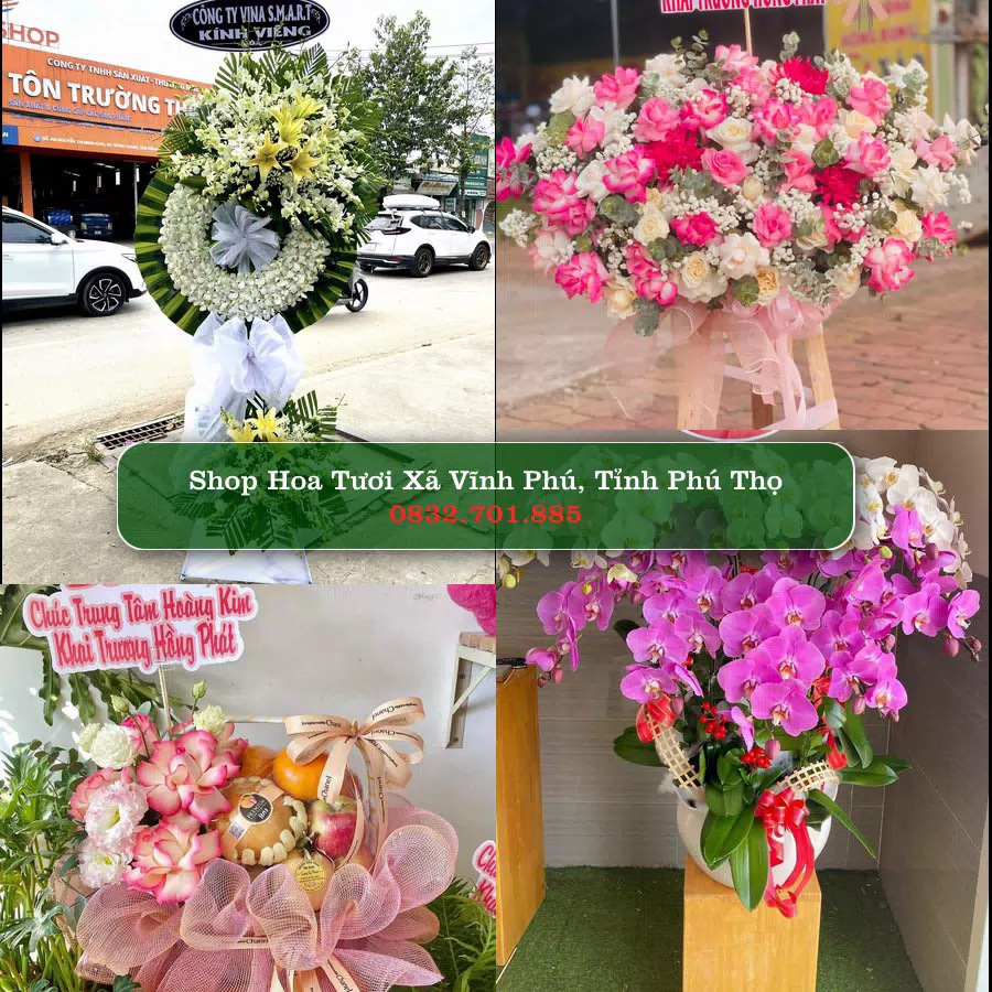 Shop Hoa Tươi Xã Vĩnh Phú - Tỉnh Phú Thọ