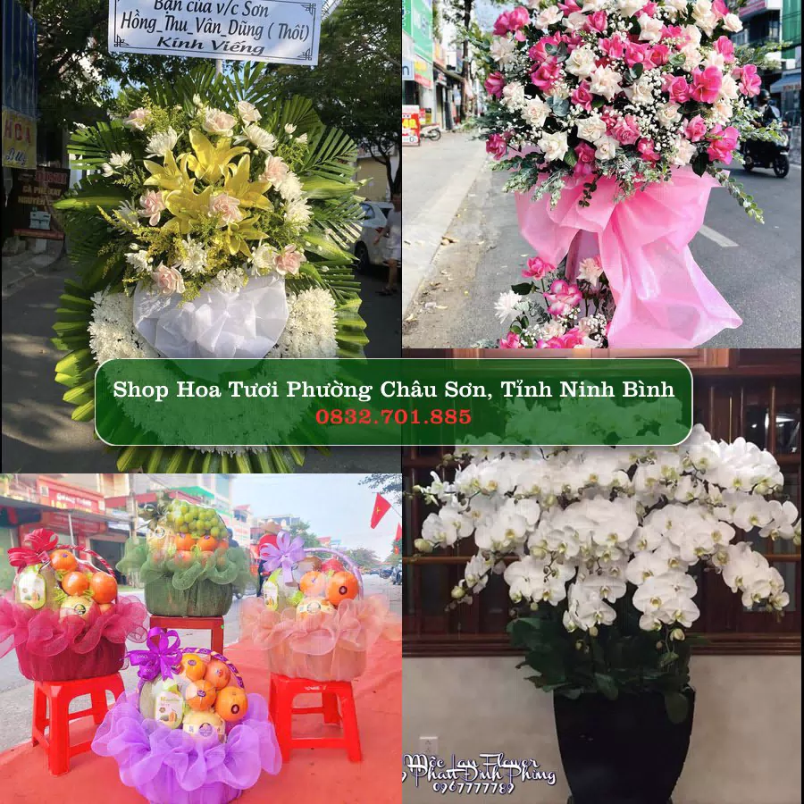 Shop hoa tươi Phường Châu Sơn, Tỉnh Ninh Bình - ThuyHoaTuoi.Com giao hoa tận nơi