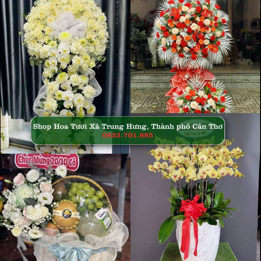 Shop Hoa Tươi Xã Trung Hưng - Thành phố Cần Thơ