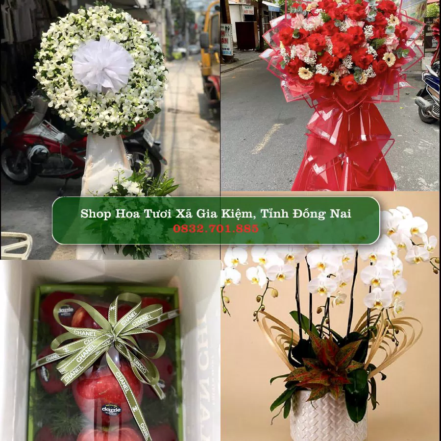 Shop hoa tươi Xã Gia Kiệm, Tỉnh Đồng Nai - ThuyHoaTuoi.Com giao hoa tận nơi