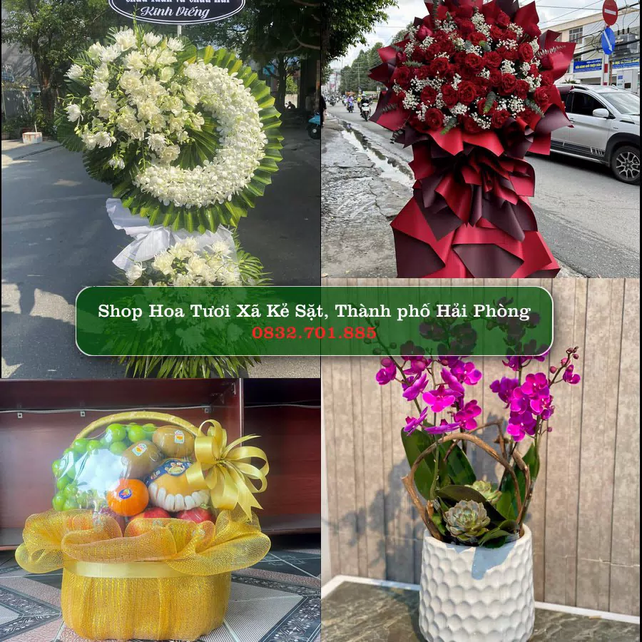 Shop hoa tươi Xã Kẻ Sặt, Thành phố Hải Phòng - ThuyHoaTuoi.Com giao hoa tận nơi