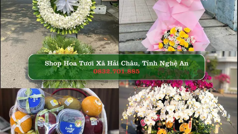 Shop Hoa Tươi Xã Hải Châu - Tỉnh Nghệ An