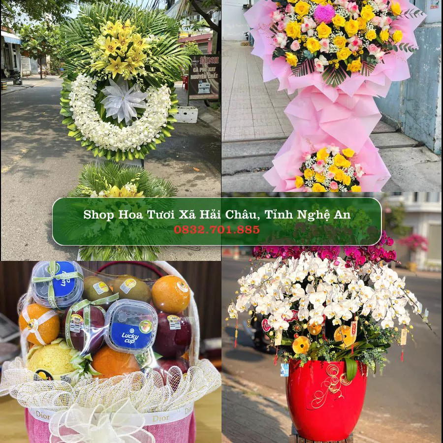 Shop Hoa Tươi Xã Hải Châu - Tỉnh Nghệ An