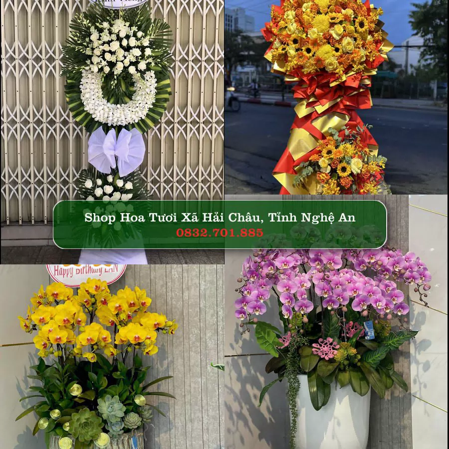 Shop hoa tươi Xã Hải Châu, Tỉnh Nghệ An - ThuyHoaTuoi.Com giao hoa tận nơi