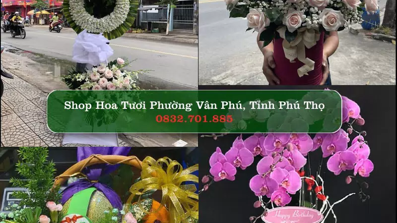 Shop Hoa Tươi Phường Vân Phú - Tỉnh Phú Thọ