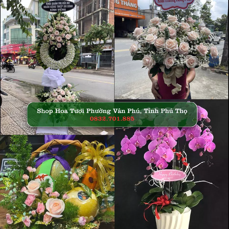 Shop Hoa Tươi Phường Vân Phú - Tỉnh Phú Thọ
