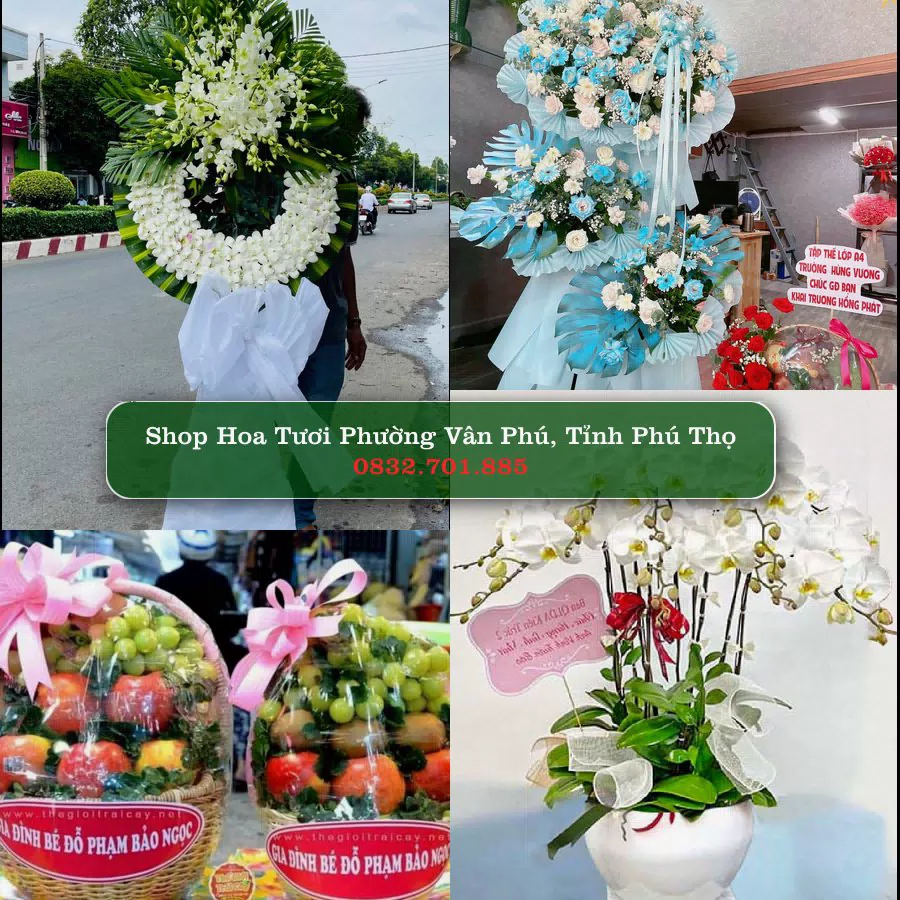 Shop hoa tươi Phường Vân Phú, Tỉnh Phú Thọ - ThuyHoaTuoi.Com giao hoa tận nơi