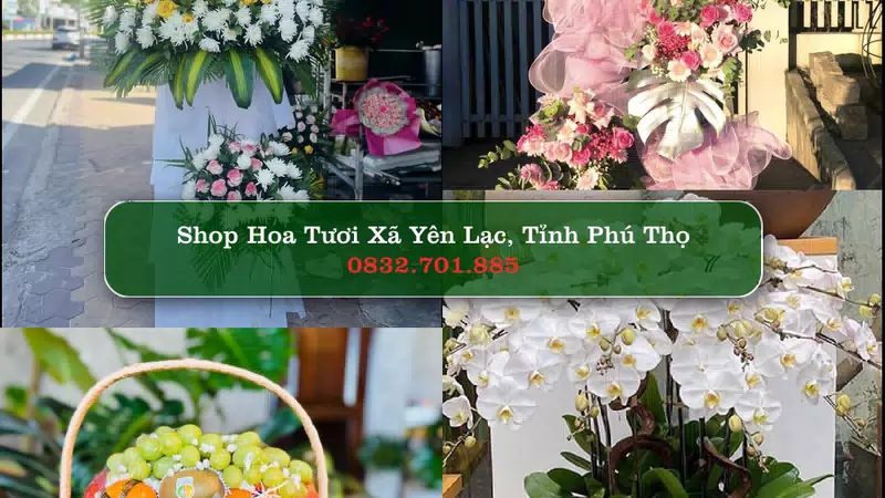 Shop Hoa Tươi Xã Yên Lạc - Tỉnh Phú Thọ