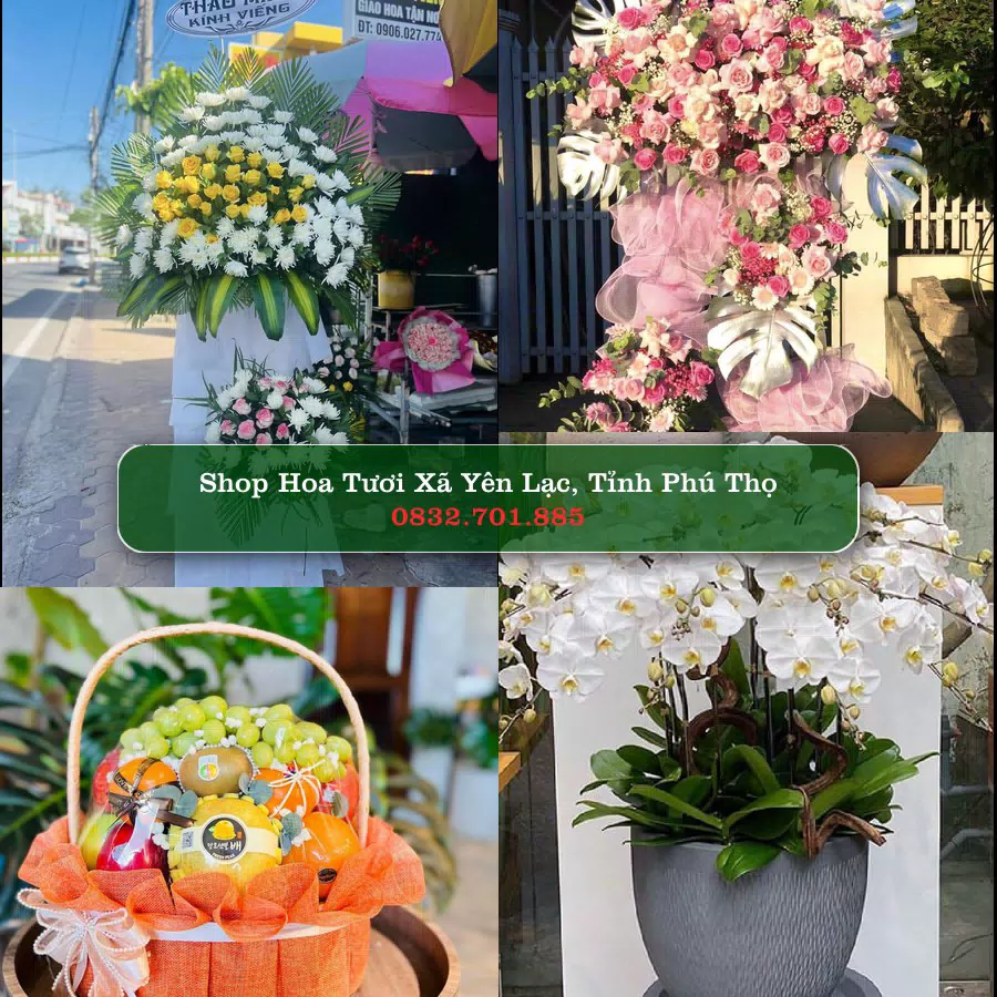 Shop Hoa Tươi Xã Yên Lạc - Tỉnh Phú Thọ