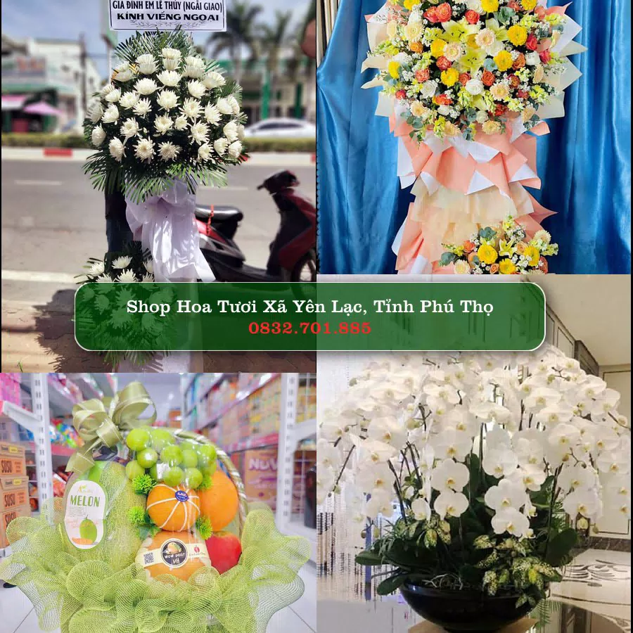 Shop hoa tươi Xã Yên Lạc, Tỉnh Phú Thọ - ThuyHoaTuoi.Com giao hoa tận nơi