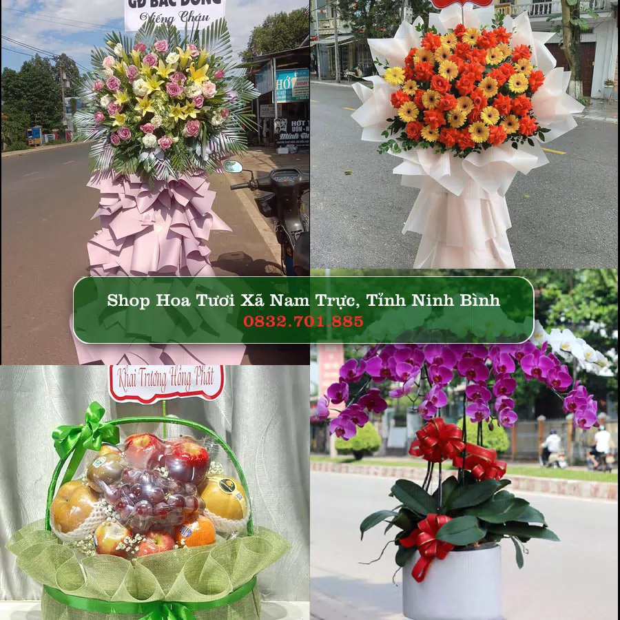 Shop hoa tươi Xã Nam Trực, Tỉnh Ninh Bình - ThuyHoaTuoi.Com giao hoa tận nơi