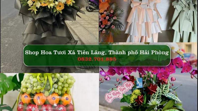 Shop Hoa Tươi Xã Tiên Lãng - Thành phố Hải Phòng