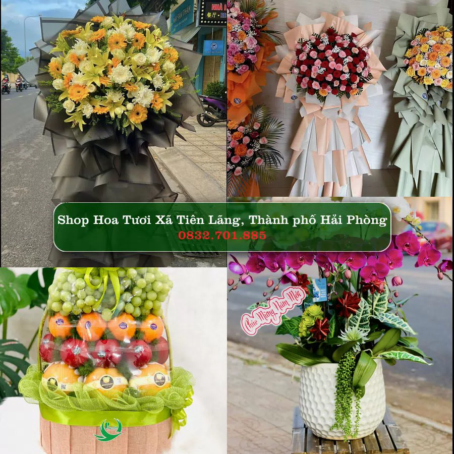 Shop Hoa Tươi Xã Tiên Lãng - Thành phố Hải Phòng
