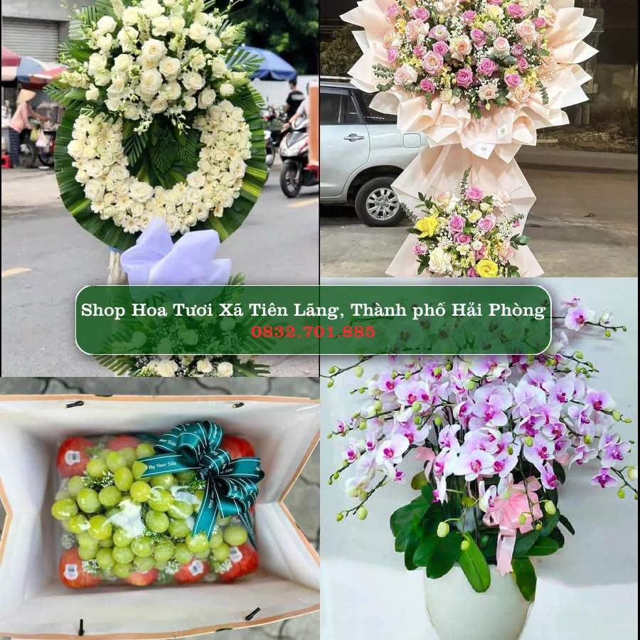 Shop hoa tươi Xã Tiên Lãng, Thành phố Hải Phòng - ThuyHoaTuoi.Com giao hoa tận nơi