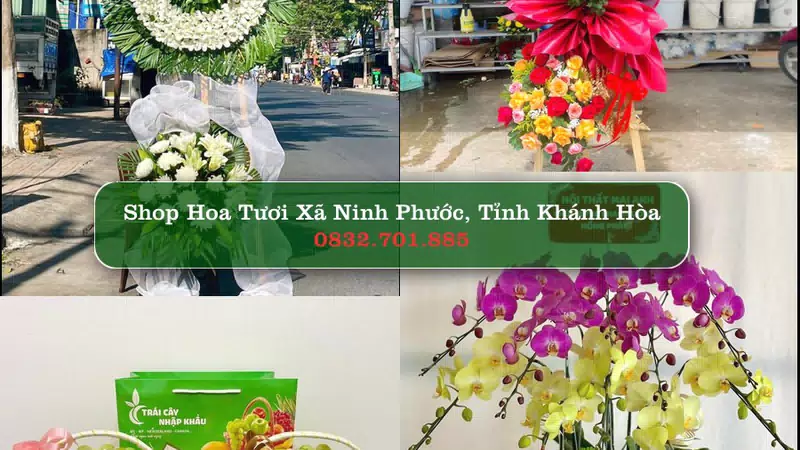 Shop Hoa Tươi Xã Ninh Phước - Tỉnh Khánh Hòa
