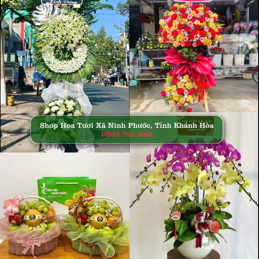 Shop Hoa Tươi Xã Ninh Phước - Tỉnh Khánh Hòa