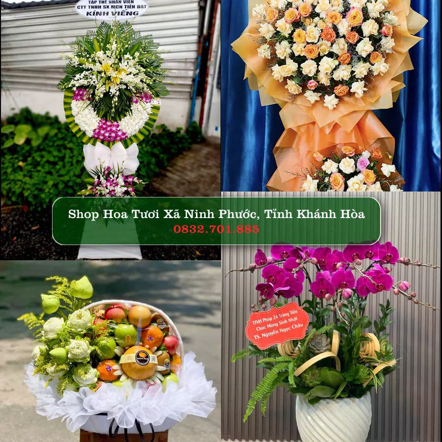 Shop hoa tươi Xã Ninh Phước, Tỉnh Khánh Hòa - ThuyHoaTuoi.Com giao hoa tận nơi