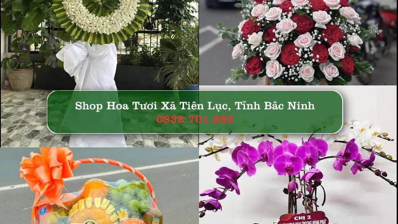 Shop Hoa Tươi Xã Tiên Lục - Tỉnh Bắc Ninh
