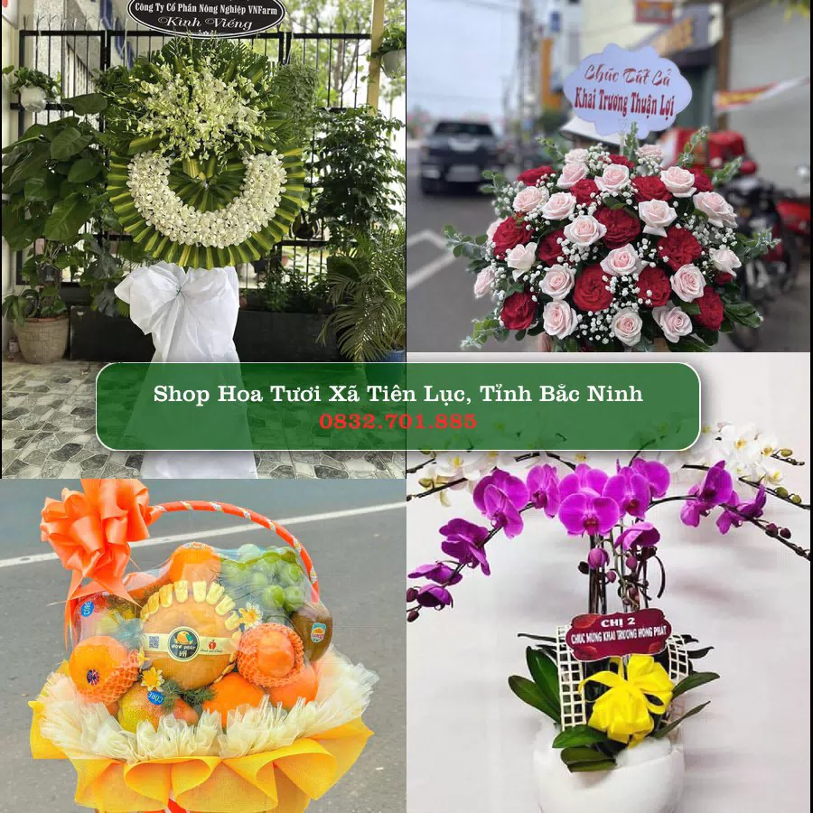 Shop Hoa Tươi Xã Tiên Lục - Tỉnh Bắc Ninh