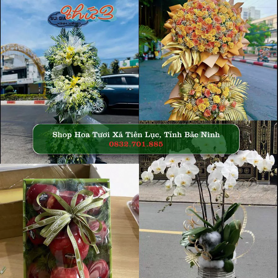 Shop hoa tươi Xã Tiên Lục, Tỉnh Bắc Ninh - ThuyHoaTuoi.Com giao hoa tận nơi