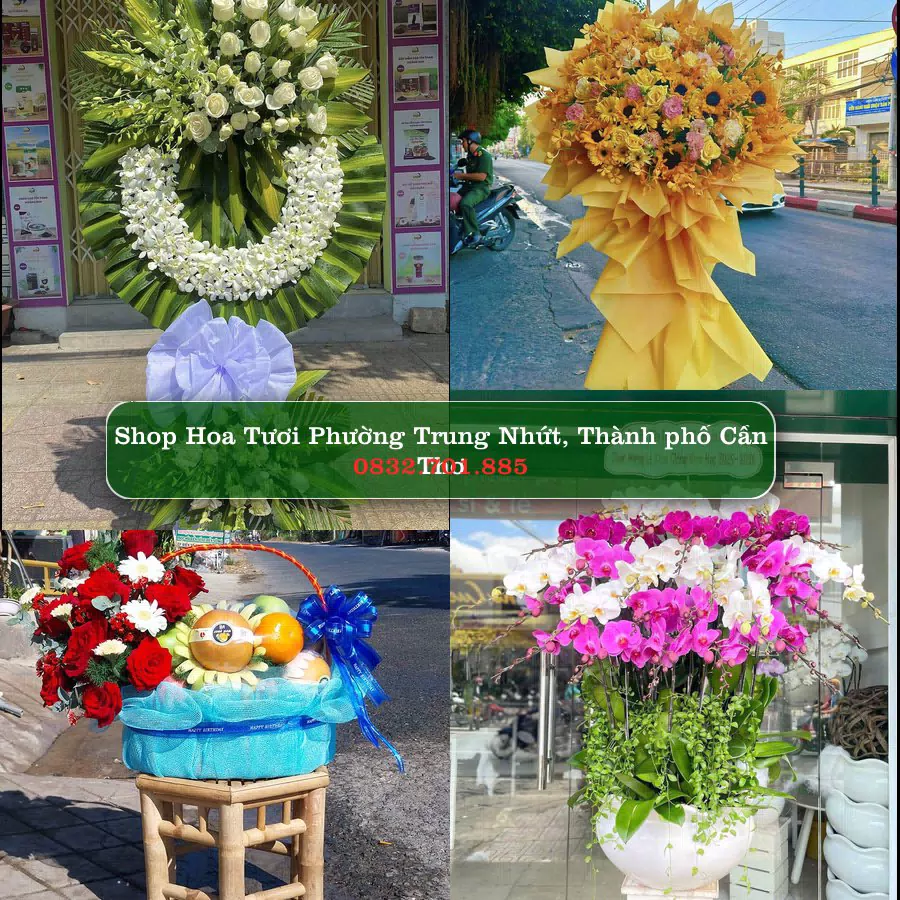 Shop hoa tươi Phường Trung Nhứt, Thành phố Cần Thơ - ThuyHoaTuoi.Com giao hoa tận nơi