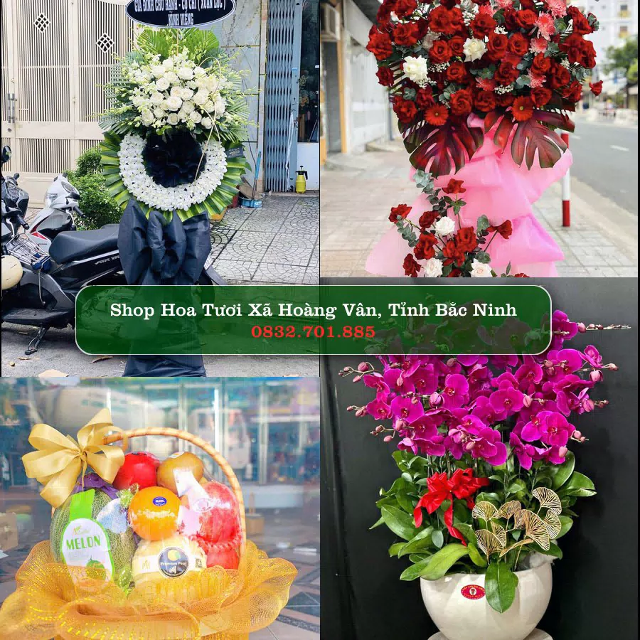 Shop Hoa Tươi Xã Hoàng Vân - Tỉnh Bắc Ninh