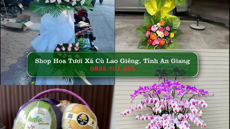 Shop Hoa Tươi Xã Cù Lao Giêng - Tỉnh An Giang