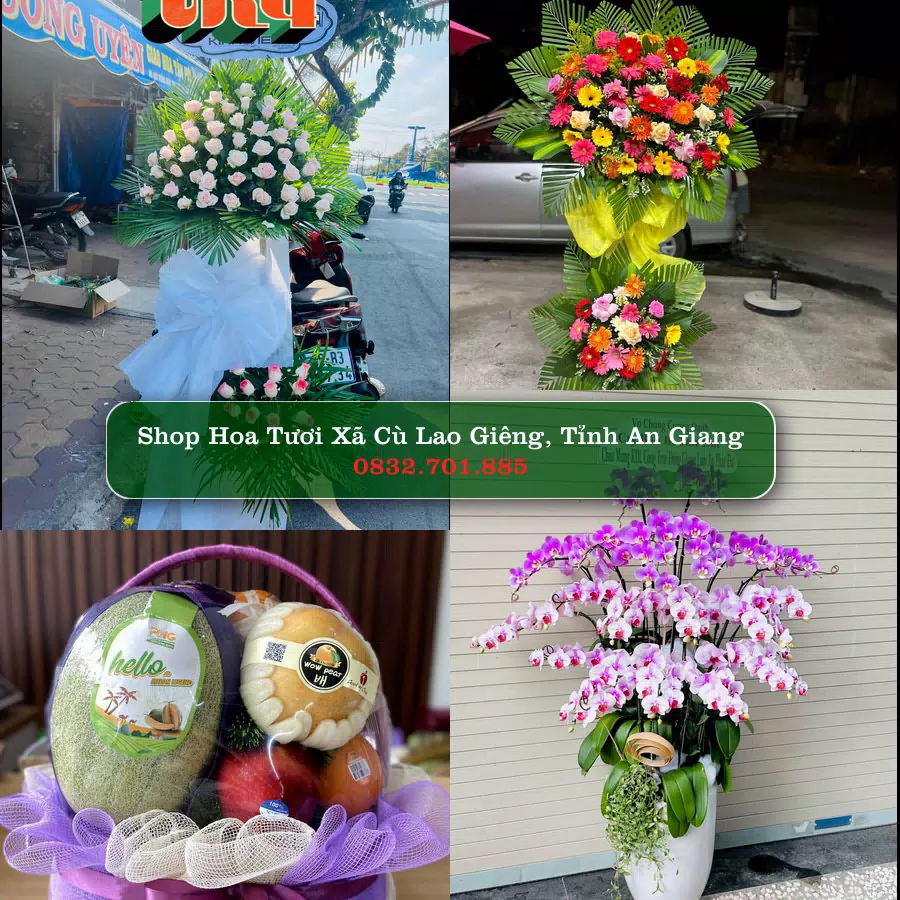 Shop Hoa Tươi Xã Cù Lao Giêng - Tỉnh An Giang