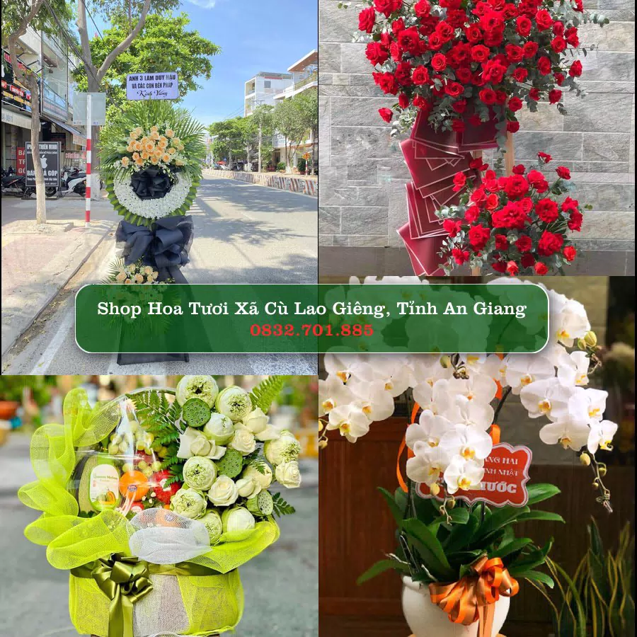Shop hoa tươi Xã Cù Lao Giêng, Tỉnh An Giang - ThuyHoaTuoi.Com giao hoa tận nơi