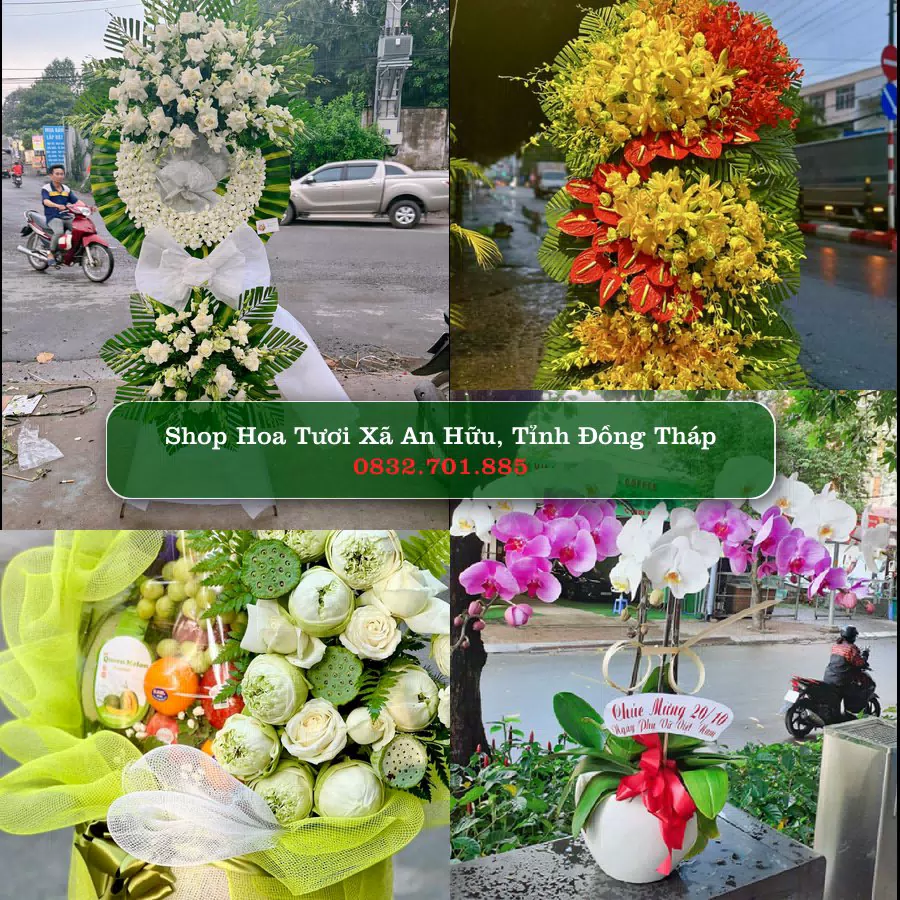 Shop hoa tươi Xã An Hữu, Tỉnh Đồng Tháp - ThuyHoaTuoi.Com giao hoa tận nơi